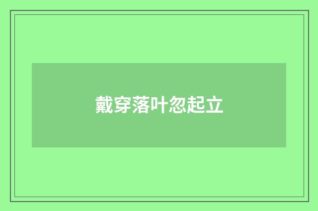 戴穿落叶忽起立