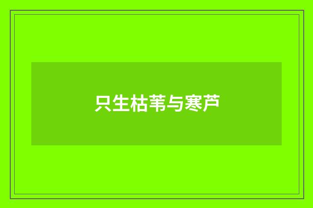 只生枯苇与寒芦