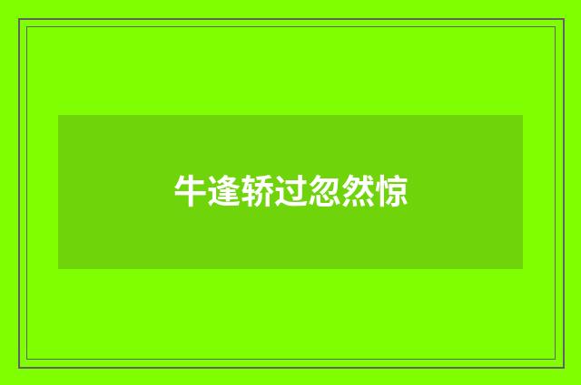 牛逢轿过忽然惊