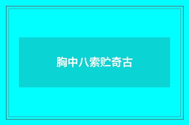 胸中八索贮奇古