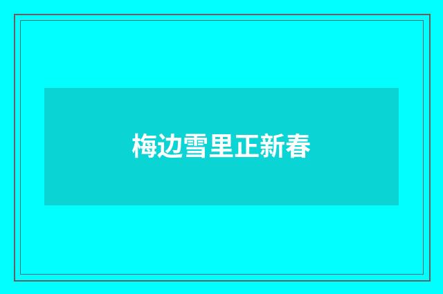 梅边雪里正新春