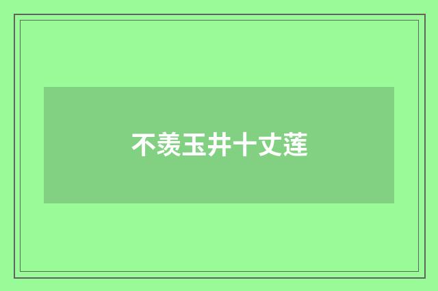 不羡玉井十丈莲