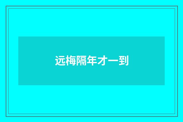 远梅隔年才一到