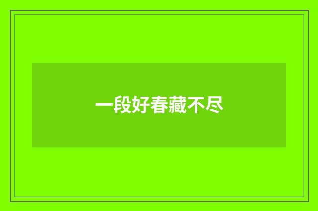 一段好春藏不尽