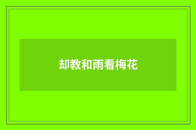 却教和雨看梅花