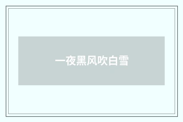 一夜黑风吹白雪