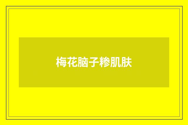 梅花脑子糁肌肤