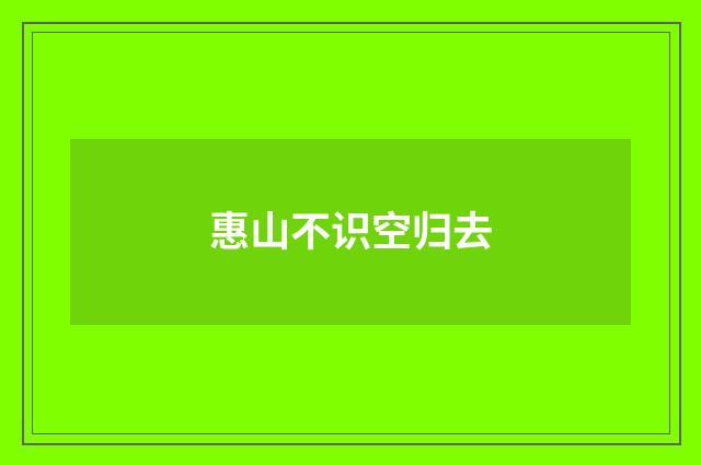 惠山不识空归去