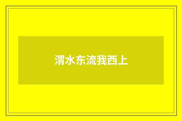渭水东流我西上