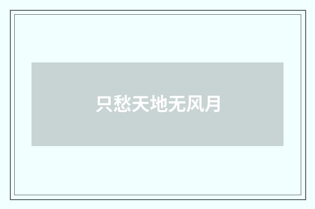 只愁天地无风月