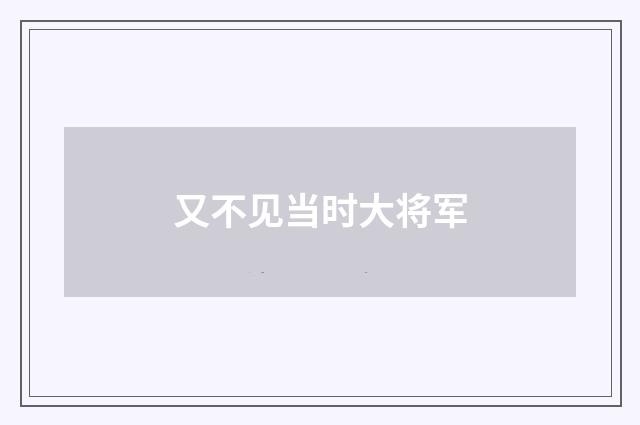 又不见当时大将军