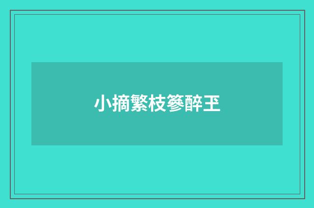 小摘繁枝篸醉玊