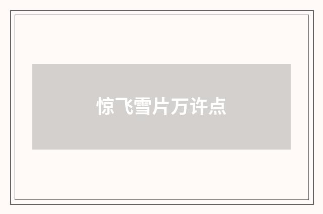 惊飞雪片万许点