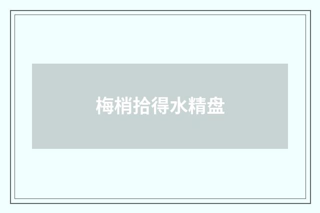 梅梢拾得水精盘