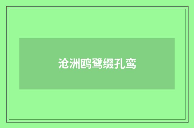 沧洲鸥鹭缀孔鸾