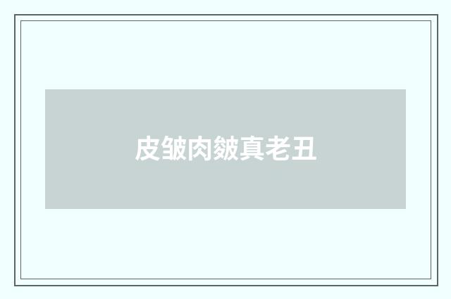 皮皱肉皴真老丑