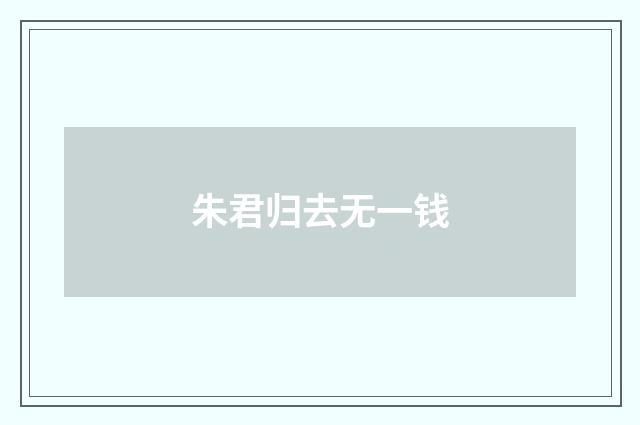 朱君归去无一钱