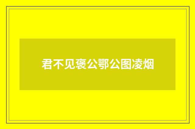 君不见褒公鄂公图凌烟