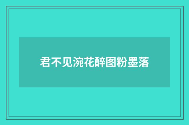 君不见涴花醉图粉墨落