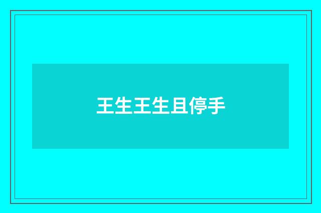 王生王生且停手