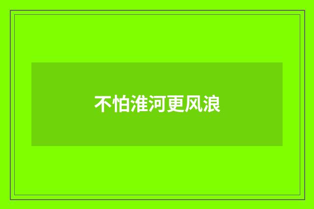不怕淮河更风浪