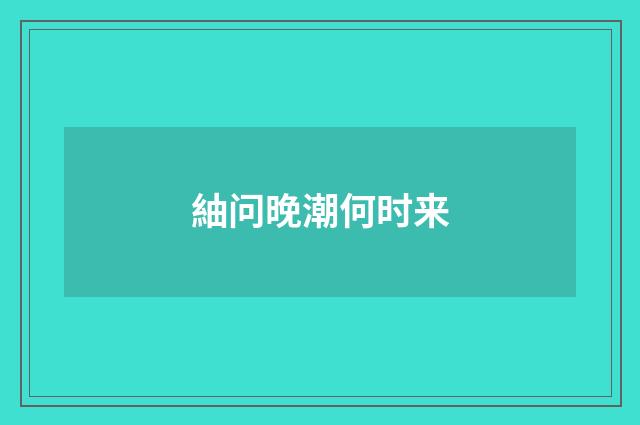 紬问晚潮何时来