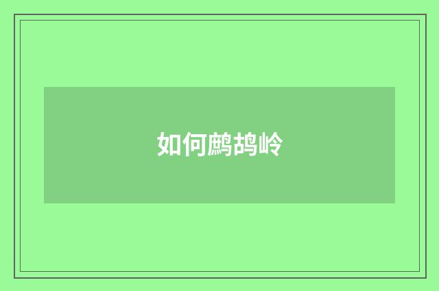 如何鹧鸪岭