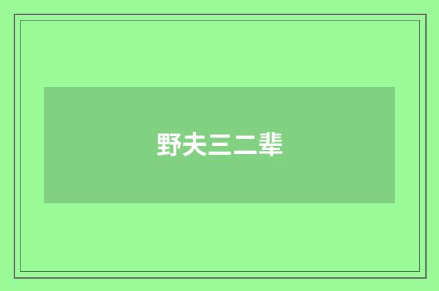 野夫三二辈