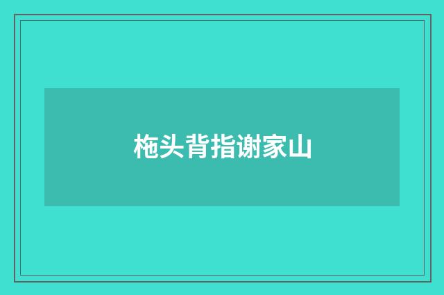 柂头背指谢家山