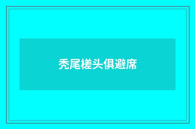 秃尾槎头俱避席