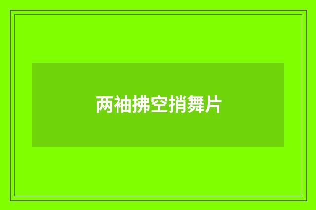两袖拂空捎舞片