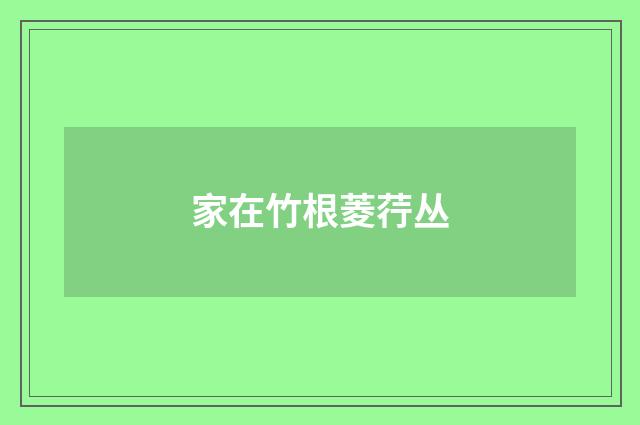 家在竹根菱荇丛