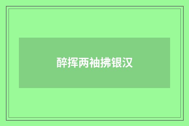 醉挥两袖拂银汉