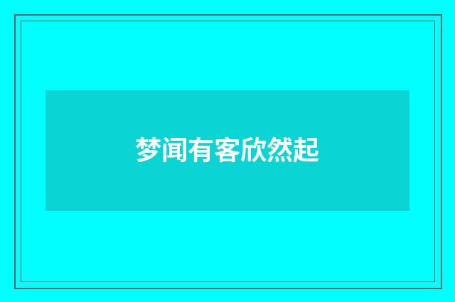 梦闻有客欣然起