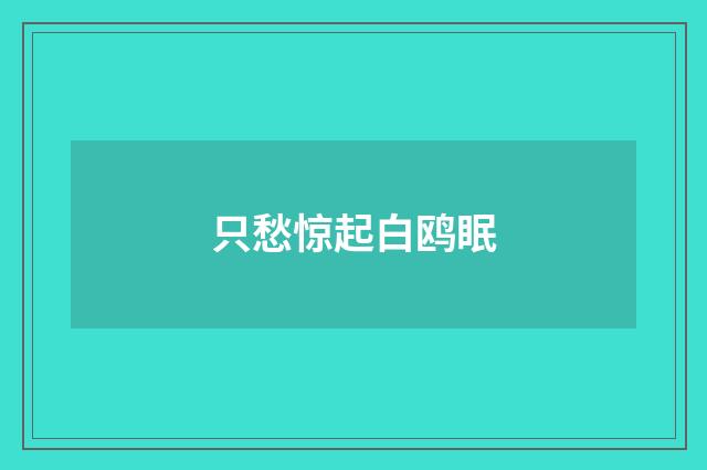 只愁惊起白鸥眠