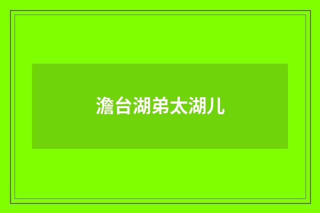 澹台湖弟太湖儿