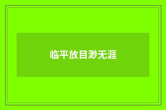 临平放目渺无涯