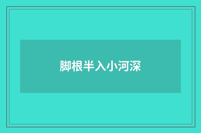 脚根半入小河深