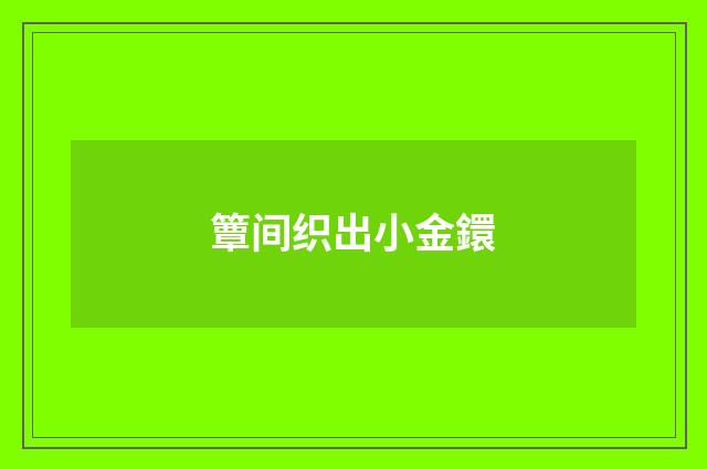 簟间织出小金鐶