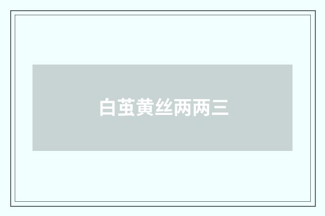 白茧黄丝两两三