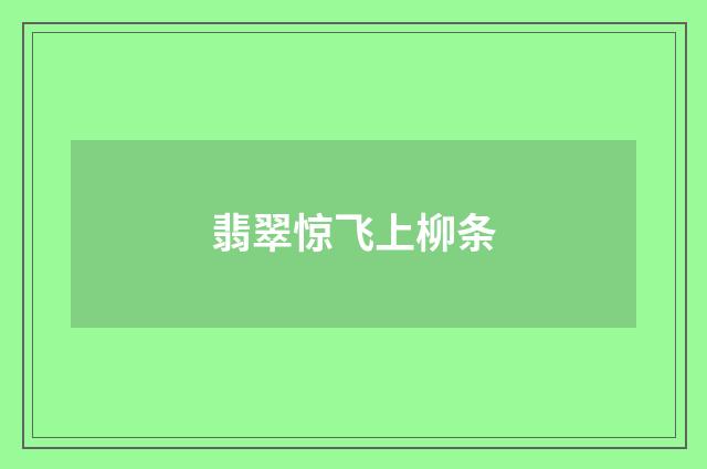 翡翠惊飞上柳条