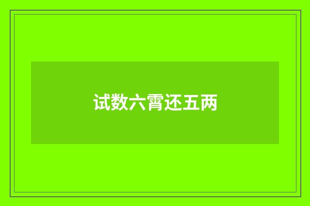 试数六霄还五两