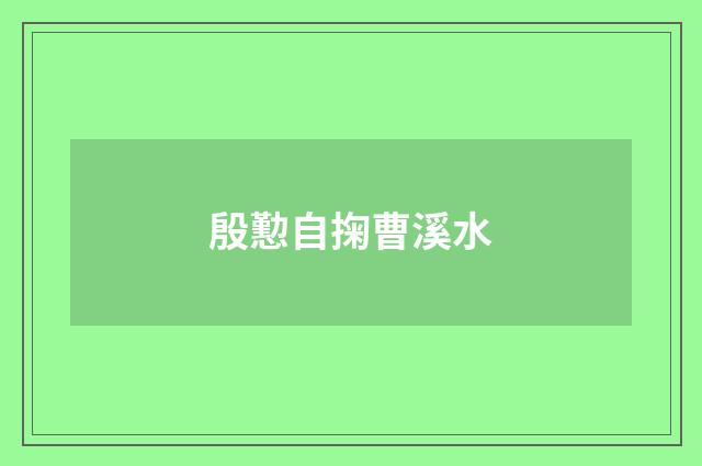 殷懃自掬曹溪水