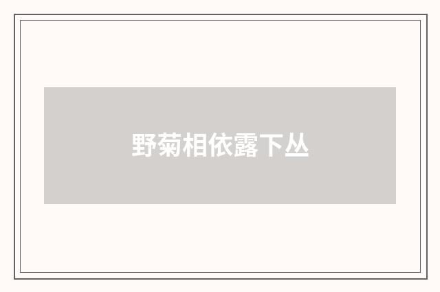 野菊相依露下丛