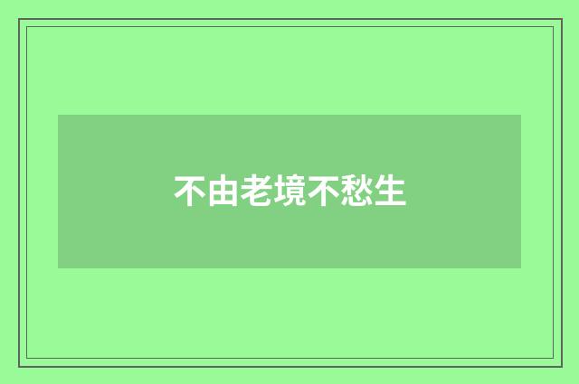 不由老境不愁生