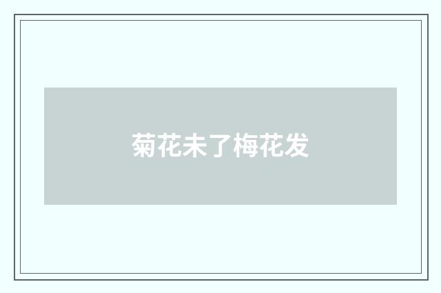 菊花未了梅花发