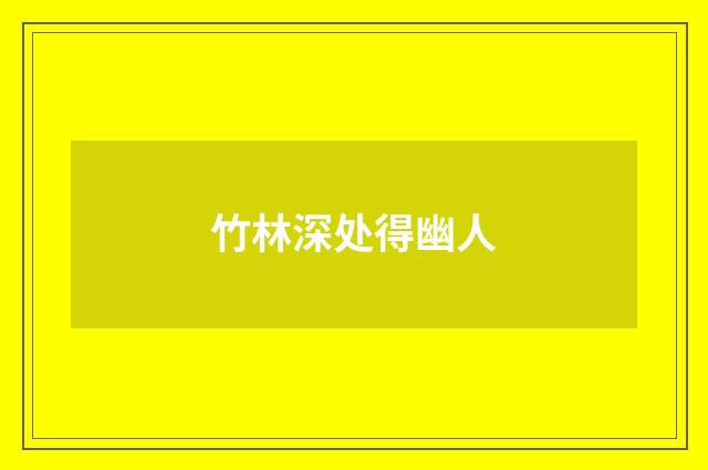 竹林深处得幽人
