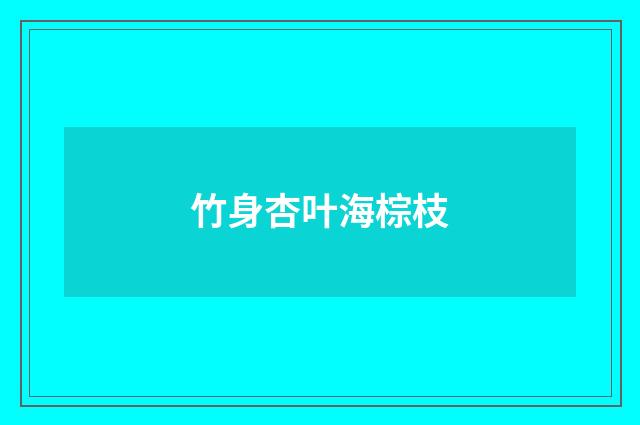 竹身杏叶海棕枝