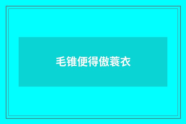 毛锥便得傲蓑衣