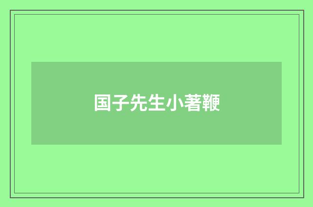 国子先生小著鞭